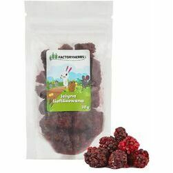 factory-herbs-freeze-dried-blackberry-treat-for-rodents-and-rabbits-20g